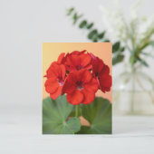 Carte Postale Fleur de géranium rouge vibrant (Debout devant)