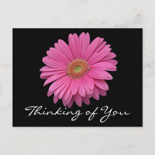 Carte Postale Fleur de Gerbera Daisy Rose Florale Pensée pour Vo