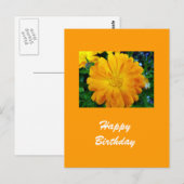 Carte Postale fleur de gerbera jaune (Devant / Derrière)