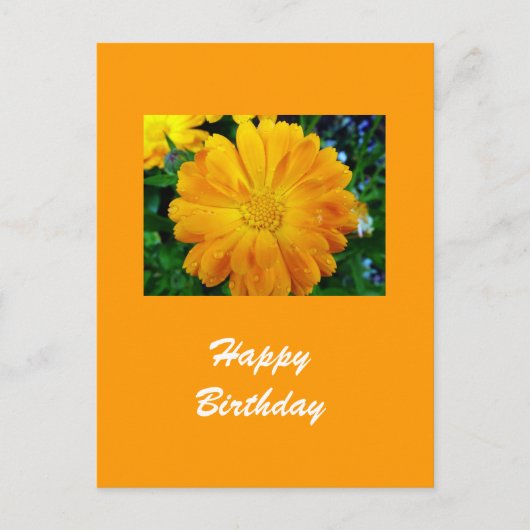 Carte Postale fleur de gerbera jaune (Devant)
