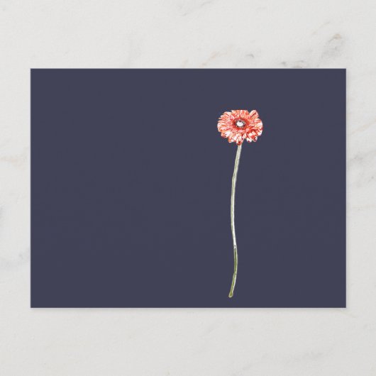 Carte Postale Fleur de Gerbera rouge pâle (Devant)