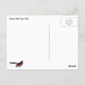 Carte Postale Fleur de gingembre blanc hawaïen (Dos)