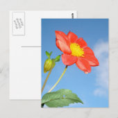 Carte Postale Fleur de la Fleur de Fraisier Rouge Simple (Devant / Derrière)