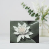 Carte Postale fleur de laine d'eau rose clair (Debout devant)