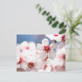 Carte Postale Fleur de l'amandier (Debout devant)