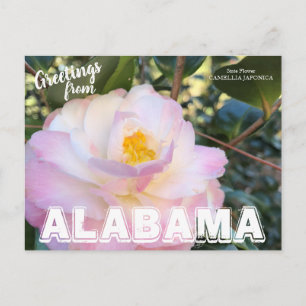 Carte Postale Fleur de l'état de l'Alabama, Camellia Postcard