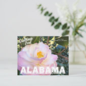 Carte Postale Fleur de l'état de l'Alabama, Camellia Postcard (Debout devant)