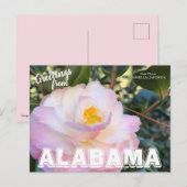 Carte Postale Fleur de l'état de l'Alabama, Camellia Postcard (Devant / Derrière)