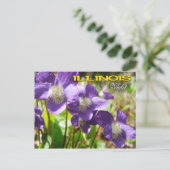 Carte Postale Fleur de l'État de l'Illinois : Violet (Debout devant)
