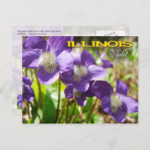 Carte Postale Fleur de l'État de l'Illinois : Violet (Devant / Derrière)