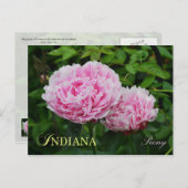 Carte Postale Fleur de l'état de l'Indiana : Peony (Devant / Derrière)