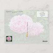 Carte Postale Fleur de l'état de l'Indiana : Peony (Dos)