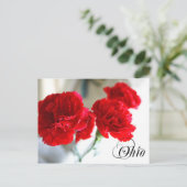Carte Postale Fleur de l'État de l'Ohio : Carnation rouge (Debout devant)