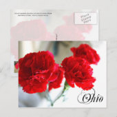 Carte Postale Fleur de l'État de l'Ohio : Carnation rouge (Devant / Derrière)