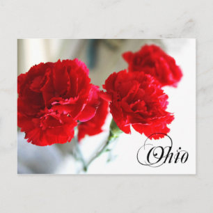 Carte Postale Fleur de l'État de l'Ohio : Carnation rouge
