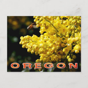 Carte Postale Fleur de l'État de l'Oregon : Graphe de l'Oregon