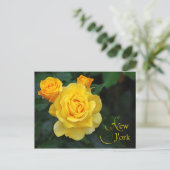 Carte Postale Fleur de l'État de New York : Rose (Debout devant)