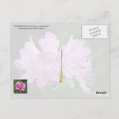 Carte Postale Fleur de l'État de Virginie-Occidentale : Rhododen (Dos)
