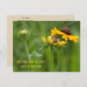 Carte Postale Fleur de l'État du Maryland (Devant / Derrière)