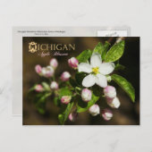 Carte Postale Fleur de l'État du Michigan : Apple Blossom (Devant / Derrière)
