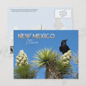 Carte Postale Fleur de l'État du Nouveau-Mexique : Yucca Flower (Devant / Derrière)
