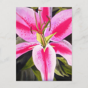 Carte Postale Fleur de lièvre rose chaud aquarelle pop art fleur