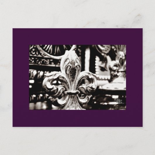 Carte Postale Fleur de Lis [Carte postale] (Devant)