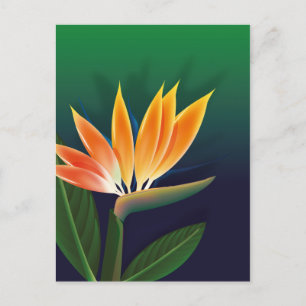Carte Postale Fleur de l'oiseau de paradis