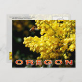 Carte Postale Fleur de l'Oregon : Mahonia à feuilles de houx (Devant / Derrière)