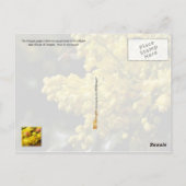 Carte Postale Fleur de l'Oregon : Mahonia à feuilles de houx (Dos)