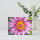 Carte Postale fleur de lotus (Debout devant)
