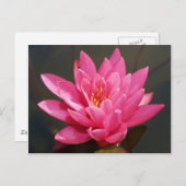 Carte Postale fleur de lotus (Devant / Derrière)