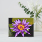 Carte Postale fleur de lotus (Debout devant)