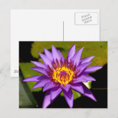 Carte Postale fleur de lotus (Devant / Derrière)