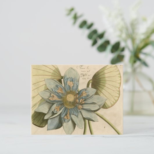 Carte Postale Fleur de Lotus Bleu sur Arrière - plan Tan avec éc (Debout devant)