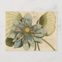 Fleur de Lotus Bleu sur Arrière - plan Tan avec éc