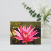 Carte Postale Fleur de Lotus dans la nature (Debout devant)