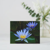 Carte Postale Fleur de lotus et signification (Debout devant)