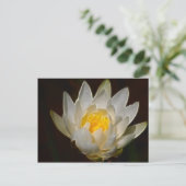 Carte Postale Fleur de lotus et signification (Debout devant)