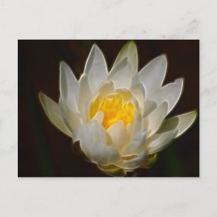 Carte Postale Fleur de lotus et signification