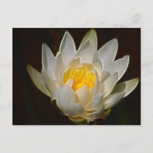 Carte Postale Fleur de lotus et signification (Devant)