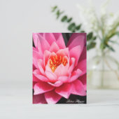 Carte Postale Fleur de Lotus, fleurs d'Asie (Debout devant)