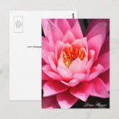 Carte Postale Fleur de Lotus, fleurs d'Asie (Devant / Derrière)