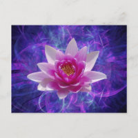 Fleur de lotus rose et signification