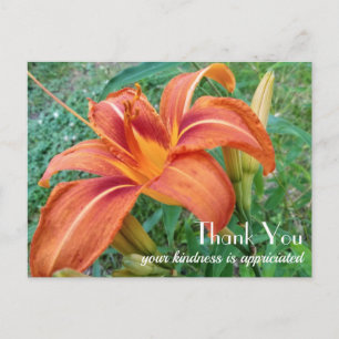 Carte Postale Fleur de lys orange Cadeau Merci 