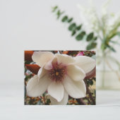 Carte Postale Fleur de Magnolia (Debout devant)