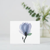 Carte Postale Fleur de Magnolia (Debout devant)