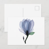 Carte Postale Fleur de Magnolia (Devant / Derrière)