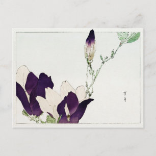Carte Postale Fleur de Magnolia Violet, Watanabe Seitei