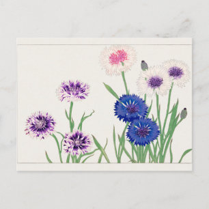 Carte Postale Fleur de maïs par Tanigami Konan